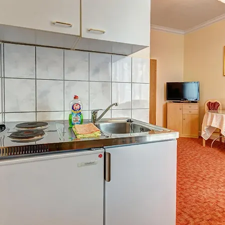 Hotel Mittag 3*