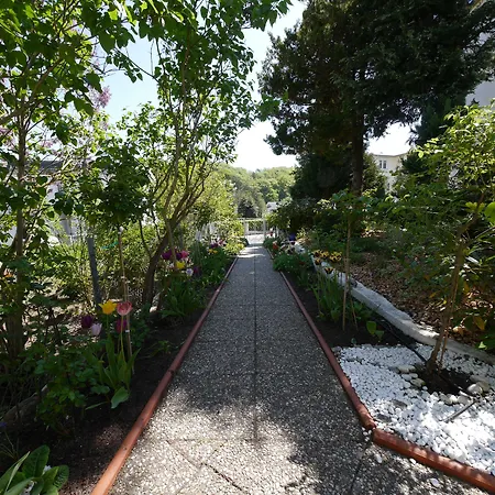 Mittag Heringsdorf (Usedom)