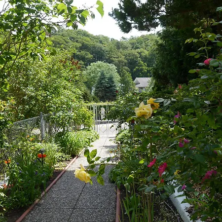 Mittag Heringsdorf (Usedom)