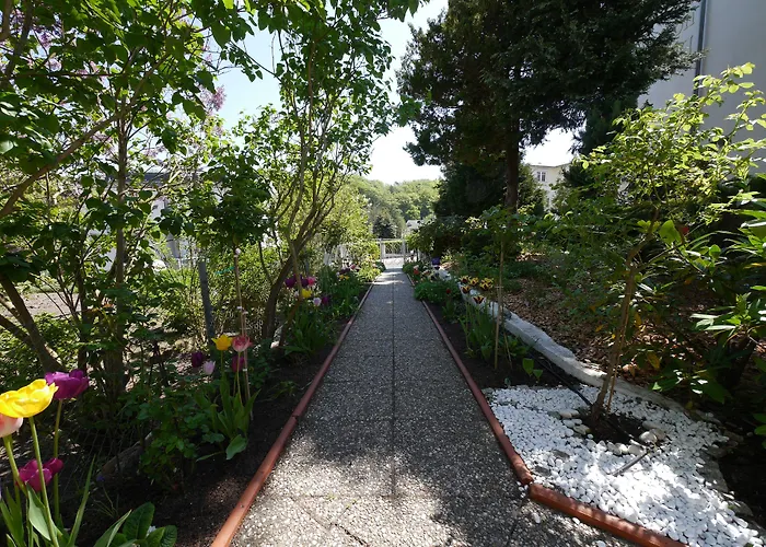 Mittag Heringsdorf (Usedom)