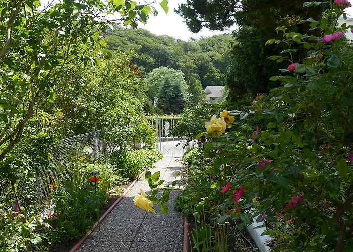 Mittag Heringsdorf (Usedom)